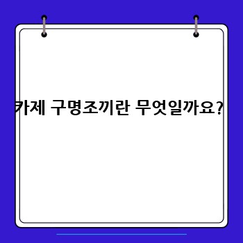 카제 구명조끼란 무엇일까요?
