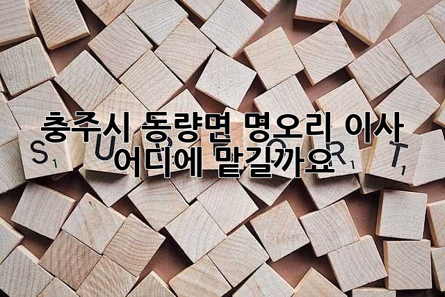 충주시 동량면 명오리 이사, 어디에 맡길까요?