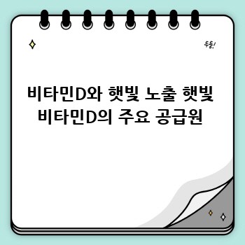 비타민D와 햇빛 노출 햇빛 비타민D의 주요 공급원