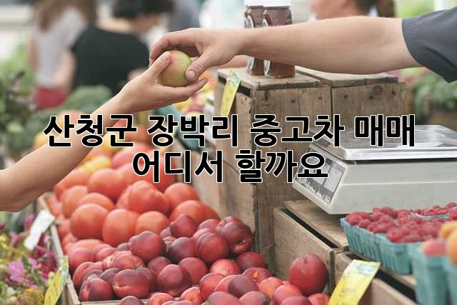 산청군 장박리 중고차 매매, 어디서 할까요?