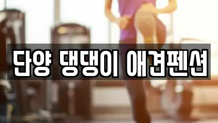 단양 댕댕이 애견펜션