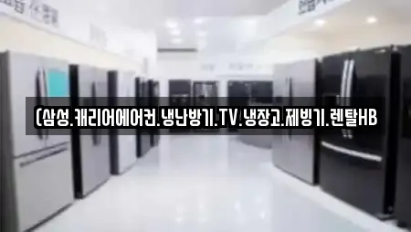 돌산읍 가전제품렌탈,공기청정기렌탈,정수기렌탈,비데렌탈,복합기렌탈 8 업체