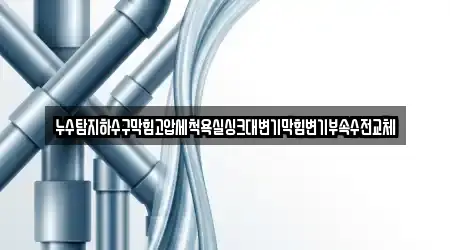 누수탐지하수구막힘고압세척욕실싱크대변기막힘변기부속수전교체