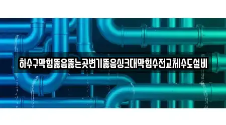 기흥구 청덕동 인근 변기뚫음,싱크대막힘,싱크대뚫음,누수,하수구막힘 TOP 16