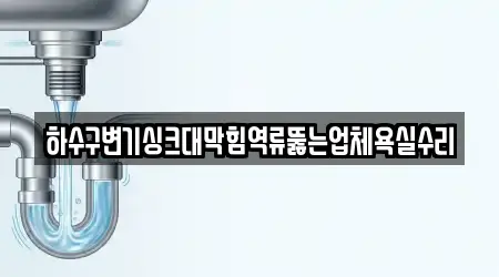 하수구변기싱크대막힘역류뚫는업체욕실수리