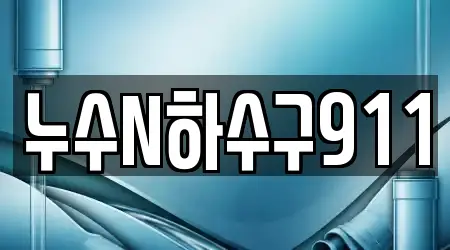 누수N하수구911