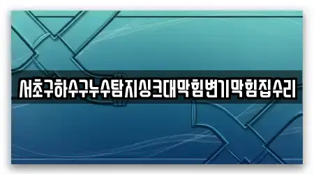 서초구하수구누수탐지싱크대막힘변기막힘집수리