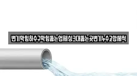 변기막힘하수구막힘뚫는업체싱크대뚫는곳변기누수고압세척