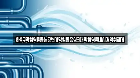 하수구막힘역류뚫는곳변기막힘뚫음싱크대막힘역류내시경악취제거
