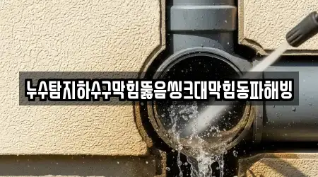 누수탐지하수구막힘뚫음씽크대막힘동파해빙
