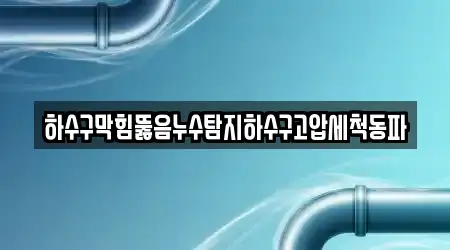 하수구막힘뚫음누수탐지하수구고압세척동파