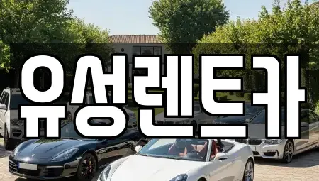 경남 창원시 성산구 렌트카 전문 유성렌트카