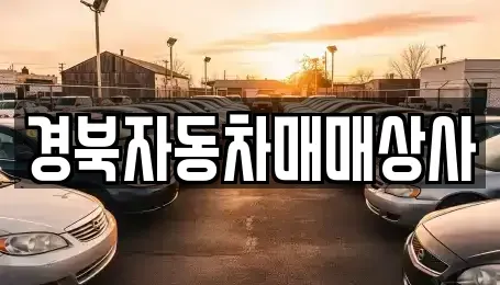경상북도 김천시 황금동 중고차 전문 경북자동차매매상사