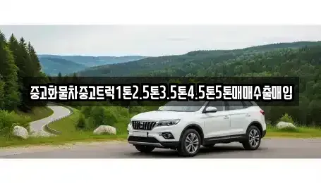 경상북도 포항시 남구 오천읍 중고차매입 전문 중고화물차중고트럭1톤2.5톤3.5톤4.5톤5톤매매수출매입