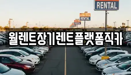 서울 강서구 가양동 장기렌트카 전문 월렌트장기렌트플랫폼직카