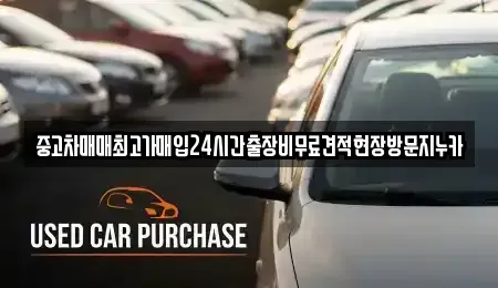 서울 강서구 가양동 중고차매입 전문 중고차매매최고가매입24시간출장비무료견적현장방문지누카