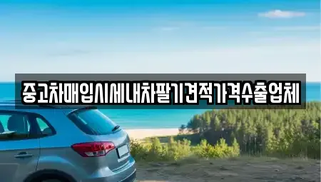 서울 강서구 가양동 중고차매입 전문 중고차매입시세내차팔기견적가격수출업체