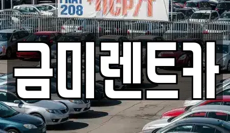 서울 마포구 토정동 렌트카 전문 금미렌트카