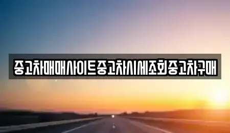 서울 마포구 토정동 중고차 전문 중고차매매사이트중고차시세조회중고차구매