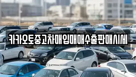 서울 마포구 토정동 중고차 전문 카카오토중고차매입매매수출판매시세