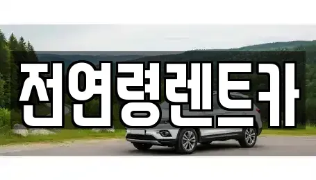 울산 울주군 청량읍 단기렌트카 전문 전연령렌트카
