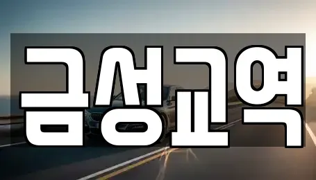 울산 울주군 청량읍 렌트카 전문 금성교역