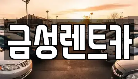 울산 울주군 청량읍 렌트카 전문 금성렌트카