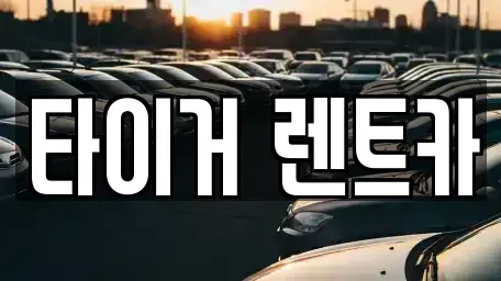 울산 울주군 청량읍 렌트카 전문 타이거 렌트카