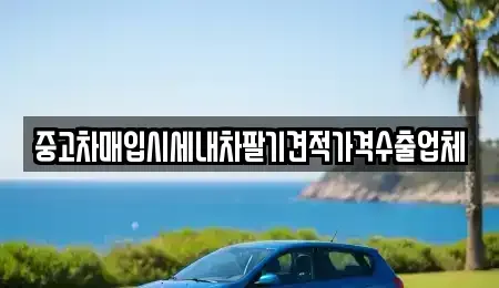 울산 울주군 청량읍 중고차매입 전문 중고차매입시세내차팔기견적가격수출업체