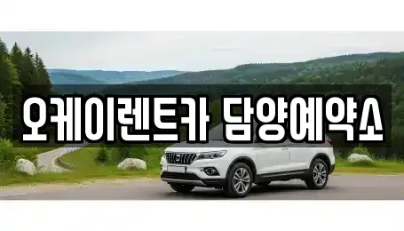 전라남도 담양군 담양읍 장기렌트카 전문 오케이렌트카 담양예약소