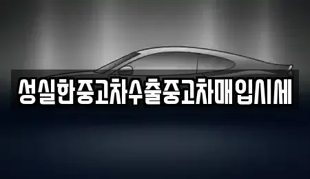전라남도 담양군 담양읍 중고차매입 전문 성실한중고차수출중고차매입시세