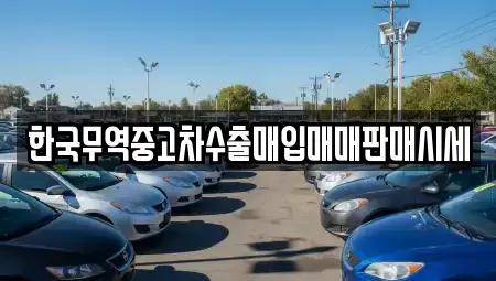 전라남도 담양군 담양읍 중고차매입 전문 한국무역중고차수출매입매매판매시세