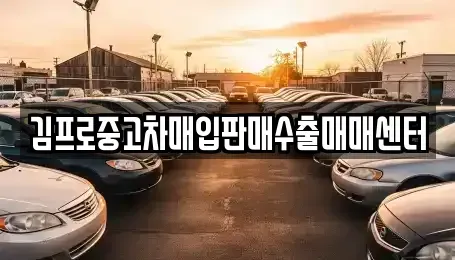 전라남도 목포시 만호동 중고차매입 전문 김프로중고차매입판매수출매매센터