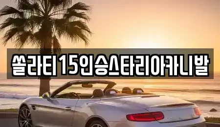 충북 충주시 주덕읍 렌트카 전문 쏠라티15인승스타리아카니발